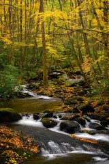 Fall Cascade