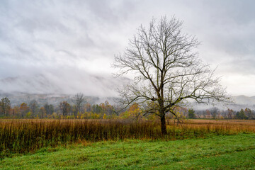 Fototapeta premium Cades Cove in Fall