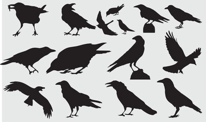 Crow silhouette with various expressions Vector illustration