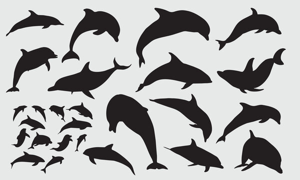 Dolphin silhouette with various expressions Vector illustration Template