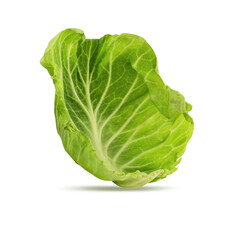 Cabbage isolated on white background with clipping path