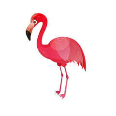 Pink flamingo. Cute flamingo vector illustration on white background
