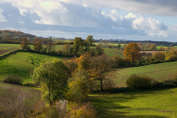 Scenic farmland with with green hills and hedgerows in beautiful fall colors.