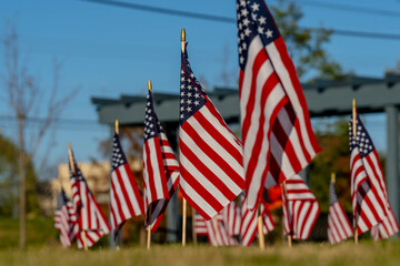 American Flags Wave In The Wind During The Veterans Memorial Celebration Weekend