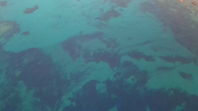 Nature's Symphony: Drone's Voyage from a Seagull's Solitude Over Santa Giulia Sea to the Tranquil Coastal Life of Porto-Vecchio, Corsica