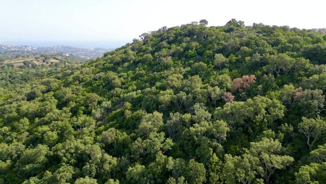 Ethereal Beauty of Lecci: An Aerial Unveiling of Saint Cyprien Beach, Corsica - From Verdant Forests to Misty Coastal Horizons