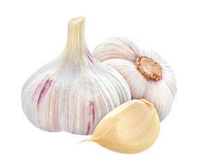 garlic with png background - Powered by Adobe
