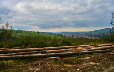 A pile of stacked wood in witow, near Zakopane, Poland