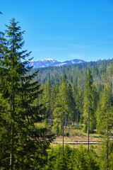 Panorama of snowy Tatra mountains in spring, south Poland