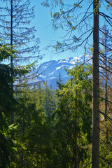 Panorama of snowy Tatra mountains in spring, south Poland