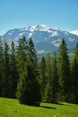 Panorama of snowy Tatra mountains in spring, south Poland