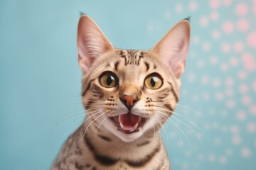 Lifestyle portrait photography of a smiling ocicat jumping against a pastel or soft colors background. With generative AI technology