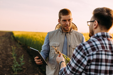 Two farmers are doing root examination on a plant.