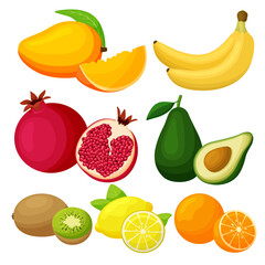 Citrus fruits, fresh fruit set, vector illustration.