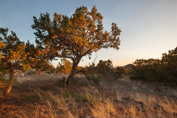 Fototapeta premium A scenic view of high desert landscape in Santa Fe, New Mexico.