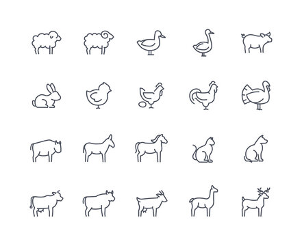 Domestic animals icons outline set