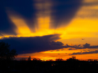 Sunset over Lake Mendota in Madison, WI. The sun's beams hit the cloudy skies. Silhouette of trees in the foreground.