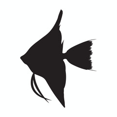 Angelfish silhouettes and icons. Black flat color simple elegant Angelfish animal vector and illustration.