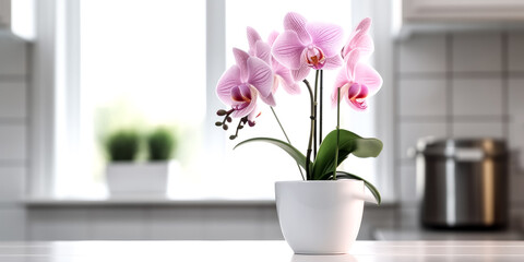 A pink orchid was placed in a white flowerpot, perfectly full - generative ai.