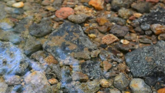 Free nature theme rocks in shallow water. very clear water in a tropical forest