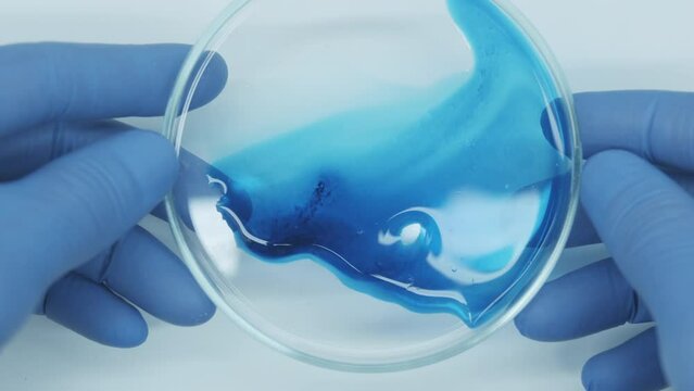 Laboratory chemical petri dish with blue liquid. Agar or agarose gel containing whatever nutrients the organism requires. Microbiology.  Development of vaccine and pharmaceuticals.