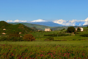 a manor house on the green meadows in the valleys of Sicily with the snow-capped Etna volcano as a background