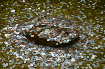 A thousand copper and silver coins on a rock in a lake