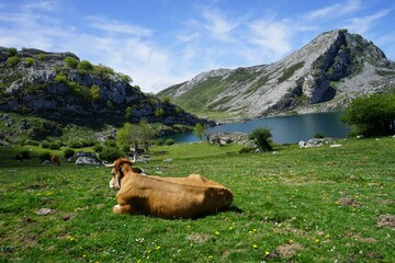 LAGOS DE COVADONGA ENOL ASTURIAS ESPA&Ntilde;A a&ntilde;o 2023 ESPA&Ntilde;A