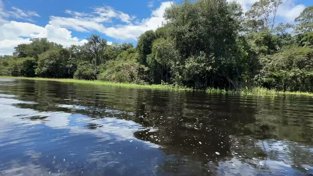 Fahrt auf dem Amazonas Fluss