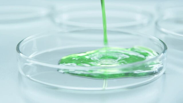 Petri dish filled with green water. Nutrient-rich environment. Bacteria and other microorganisms. Brilliant Green Agar. Green Biomanufacturing. Toxic substances. 