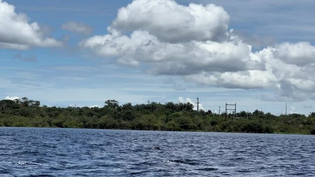 Auf dem Amazonas