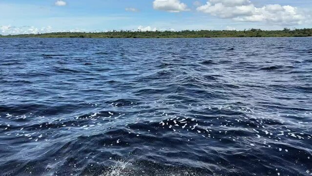 Auf dem Amazonas