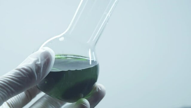 Green liquid in a laboratory flask. Hand in white medical gloves. Toxic substances. Pollution of water and environment. Biochemical analysis. Chemical reaction. Precipitation. Shake and mix.