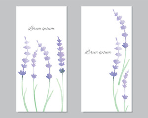 Vector card template with watercolor lavender - 600887862