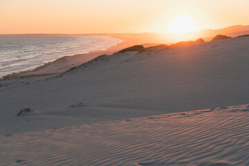 Fototapeta na wymiar Dunes in de hoop nature reserve