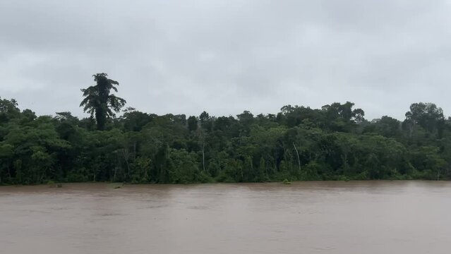 Fahrt auf dem Amazonas Fluss