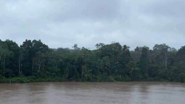 Fahrt auf dem Amazonas Fluss