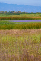Obraz premium San Luis Wildlife Reserve