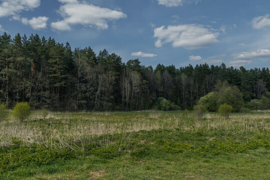 Picturesque river Isloch in Belarus. Spring. Rakovsky district.