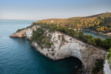 The cliff at the head of the bay. The rocky coast of the Adriatic Sea, Italy