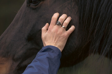 A man's hand with a ring in the shape of a skull strokes the horse's face. Horse as psychological...