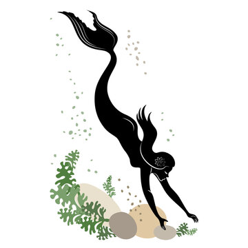 Mermaid silhouette. A beautiful girl swims in the water. Next to the leaves of the plant. Fantastic image of a fairy tale. Vector illustration