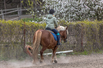 Ride a horse. A female rider on a horse with her back to the camera. Communicating with horses...