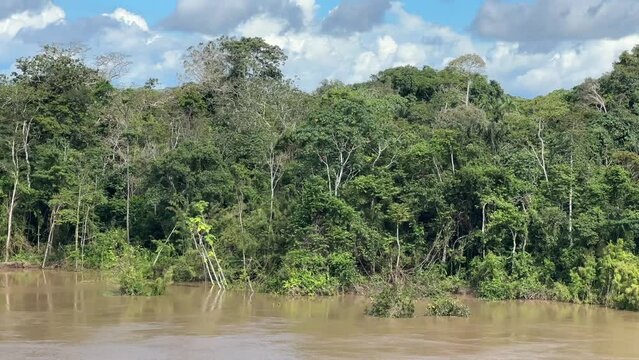Fahrt auf dem Amazonas