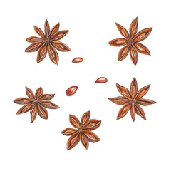 Watercolor set of star anise isolated on transparent  background. Botanical illustration for Christmas and New Year cards, book design, greetings, stickers, patterns, banners, templates, spice shops