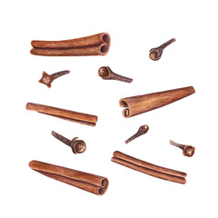Watercolor set of cinnamons and cloves isolated on transparent background. Botanical illustration for Christmas and New Year cards, book design, greetings, stickers, patterns, templates, spice shops
