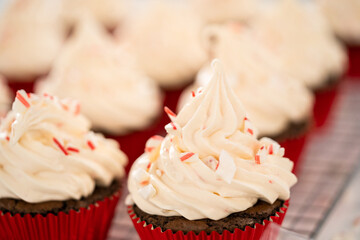 Chocolate peppermint cupcakes