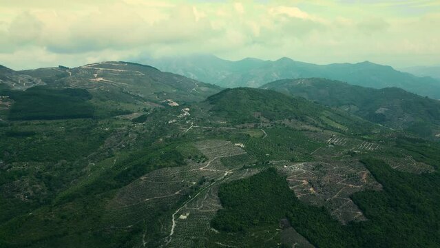 Top view coffee fields in DakHa, Kontum, in the Central Highlands region of Vietnam. KonTum has been dubbed 'Kingdom of Coffee',earning Vietnam second place among the world's top coffee exporters. 4K