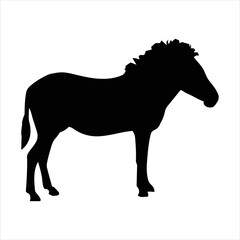 zebra, pony, black horse silhouette on white background, africa, savannah, safari,wildlife, zoo