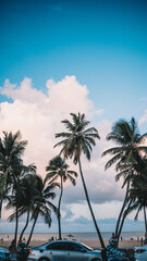 Fototapeta na wymiar Orla de uma praia movimentada com coqueiros